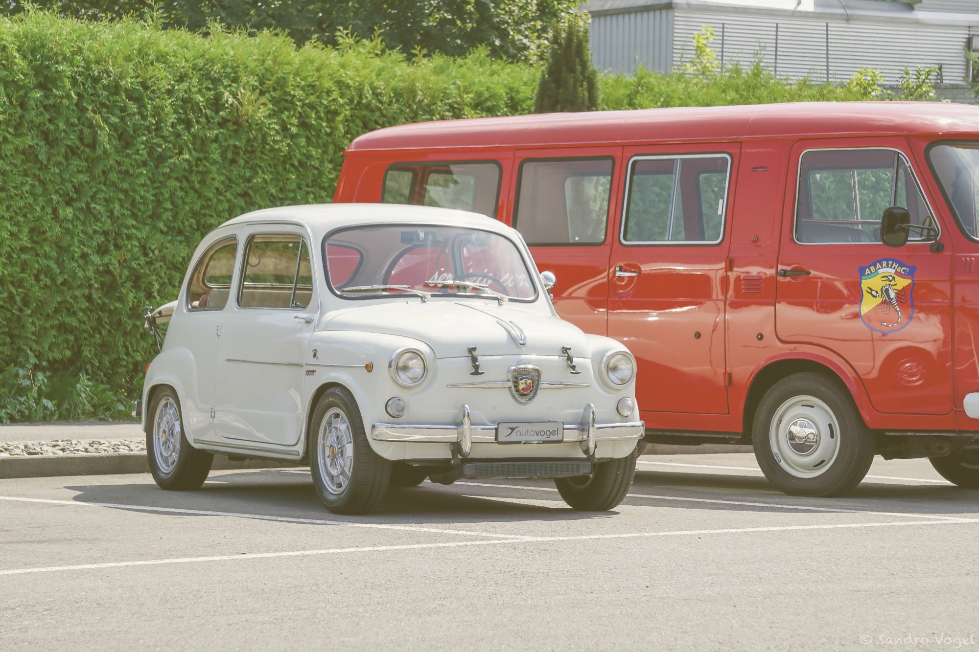 Suchauftrag